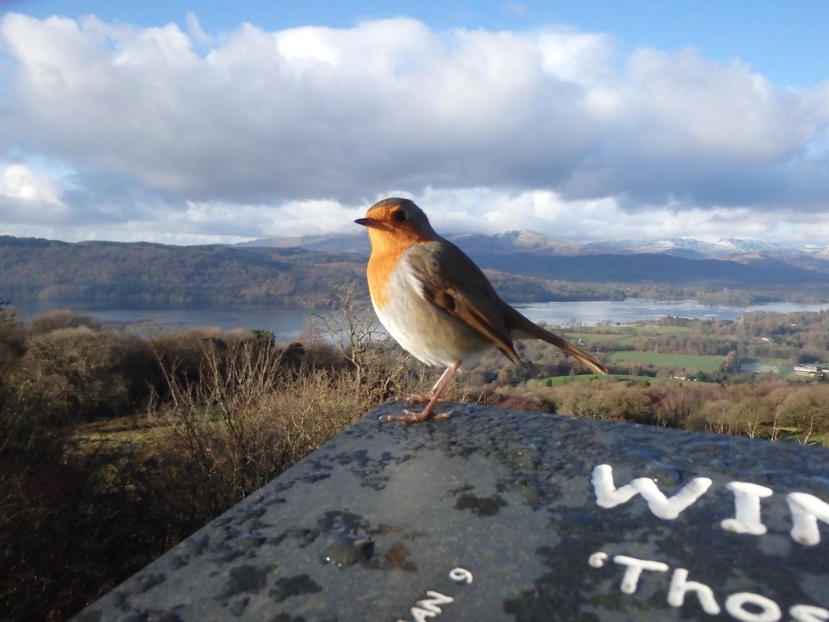 Haisthorpe Guest House Windermere Buitenkant foto